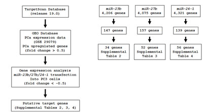 fig4