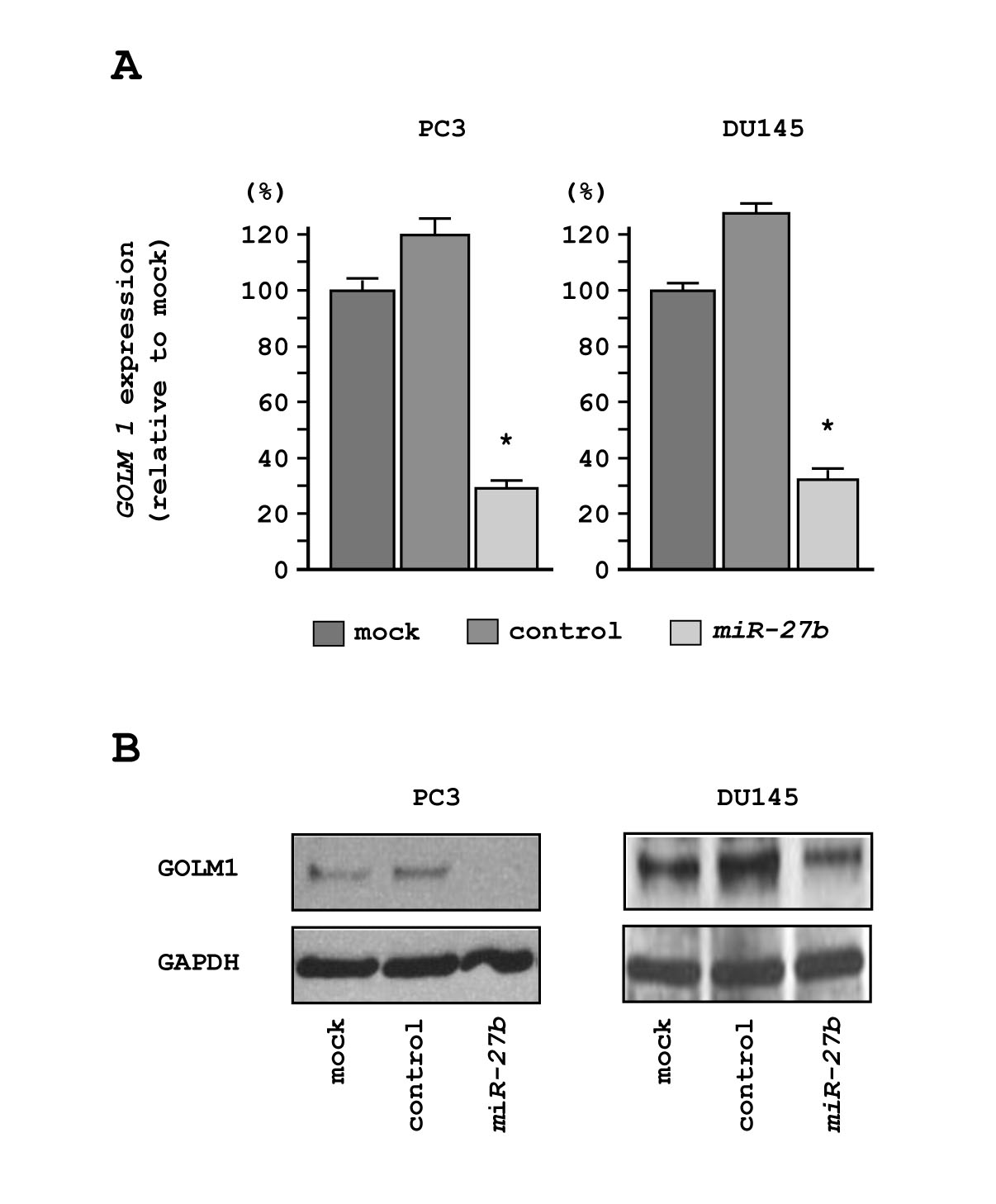 fig5