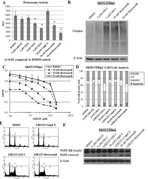 fig2a