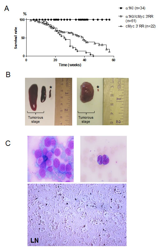 fig1