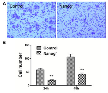 fig2