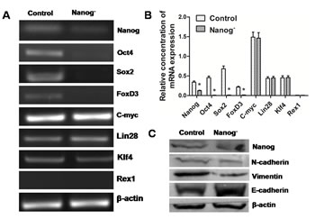fig6