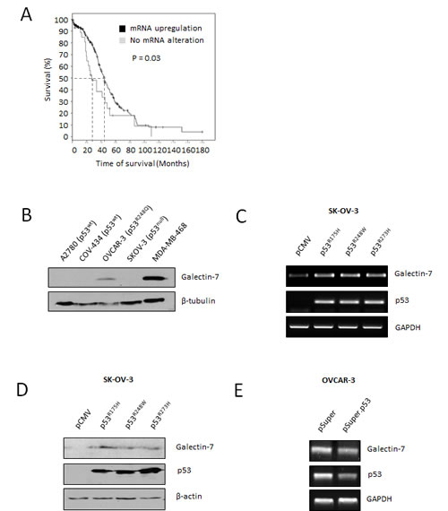 FIG2