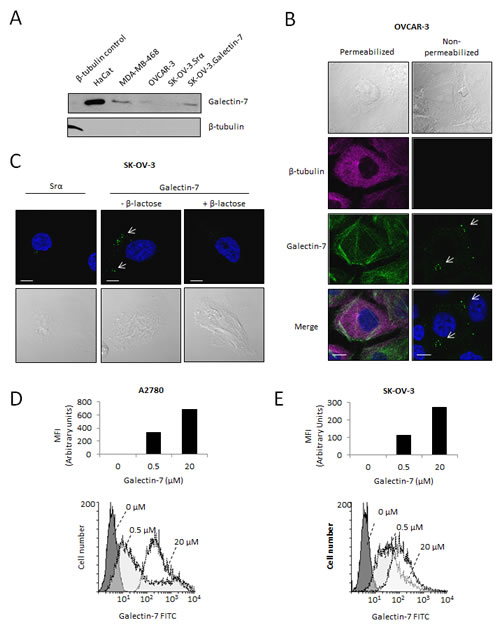 FIG3