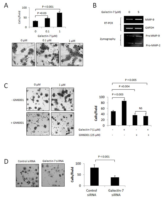 FIG4A