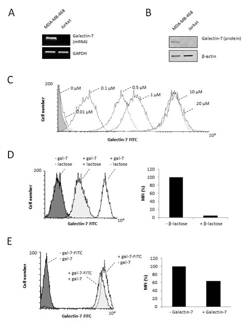 FIG5