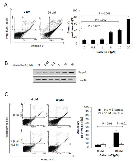 FIG6A