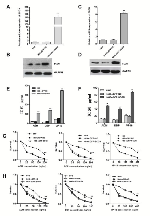 fig4