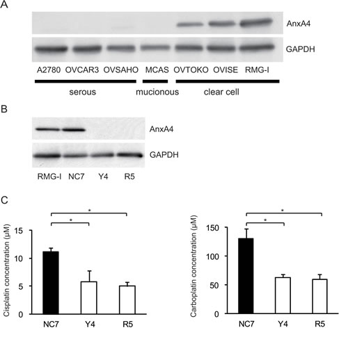 fig1