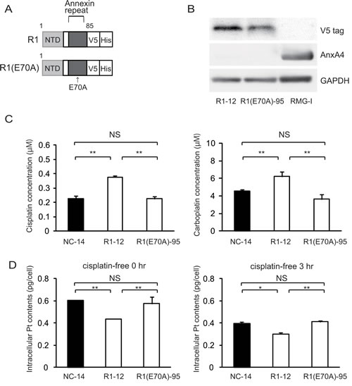 fig4