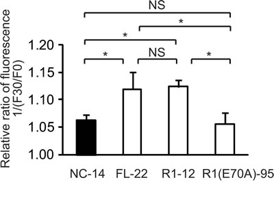 FIG6