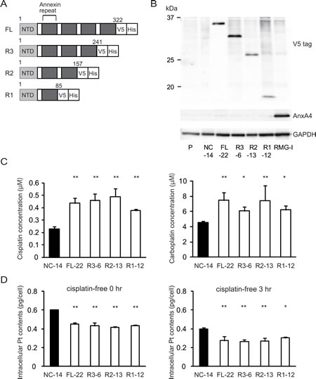 fig3