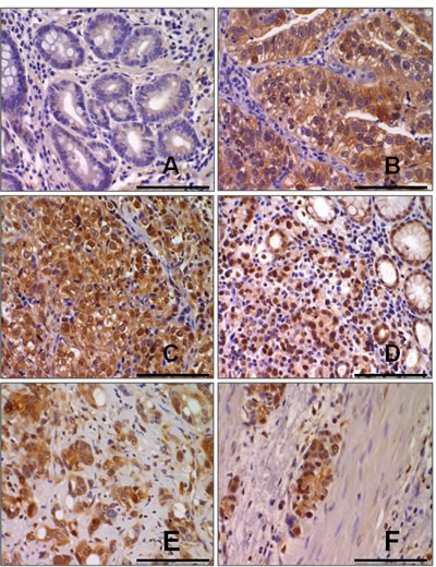 FIG1