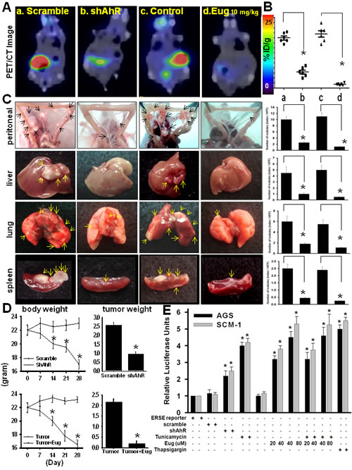 FIG2