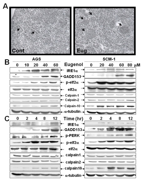 FIG3