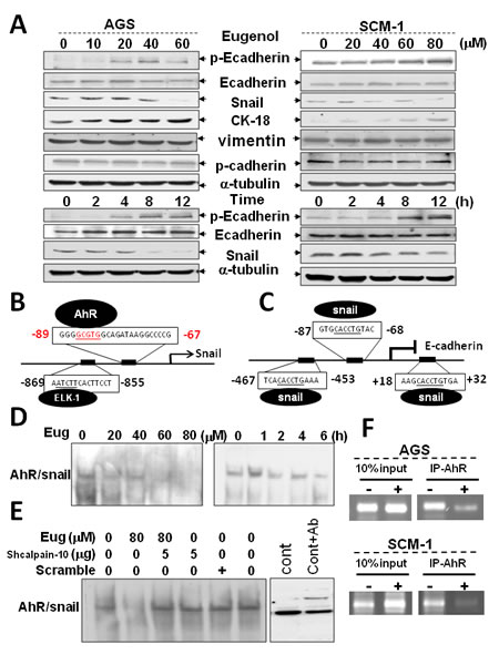 FIG6