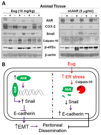 FIG7