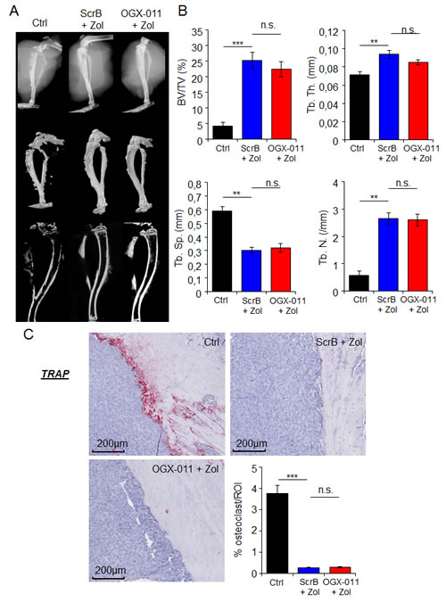 fig6