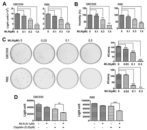 FIG3