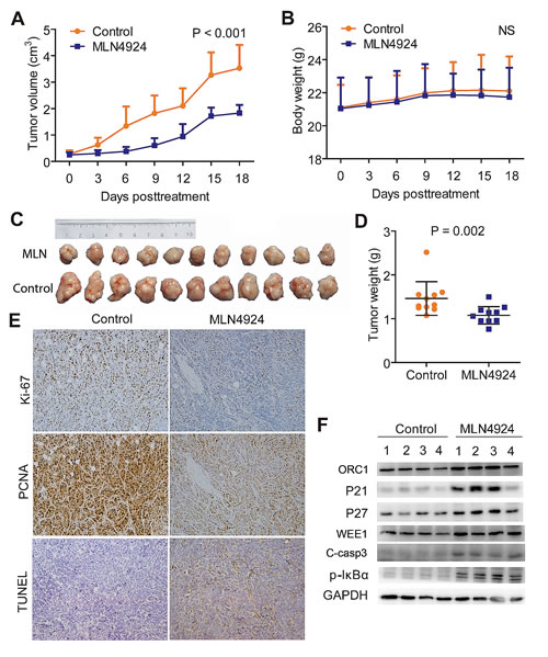FIG6