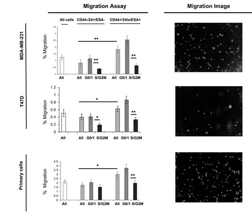 FIG3