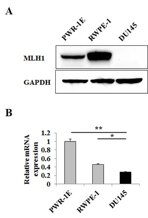 fig1