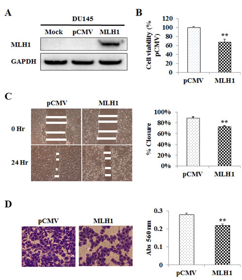 fig2