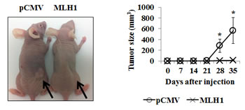 fig3