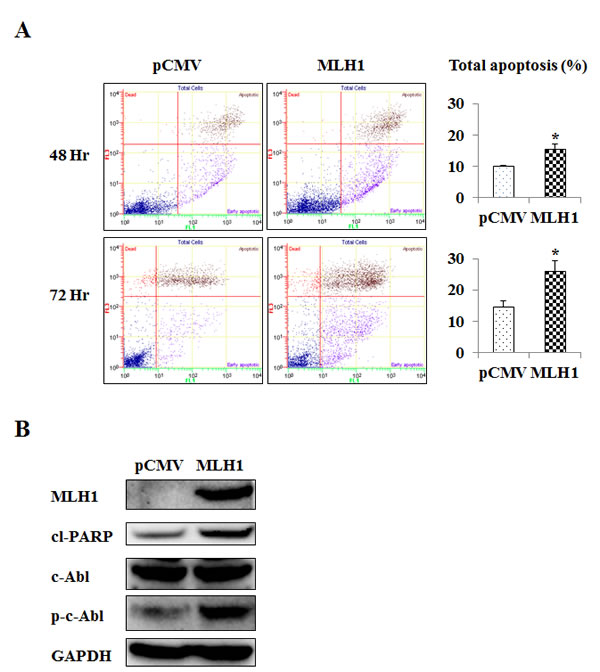 fig4