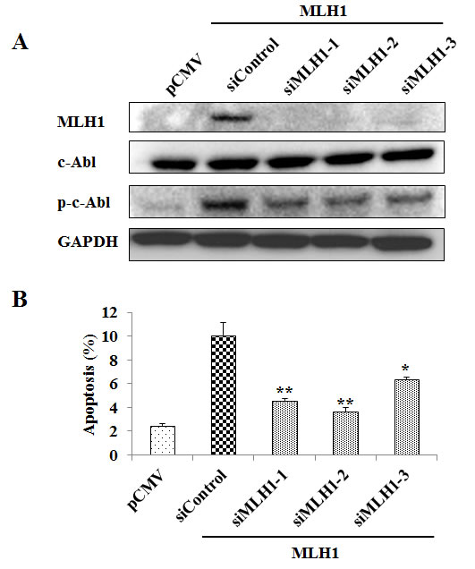 fig5