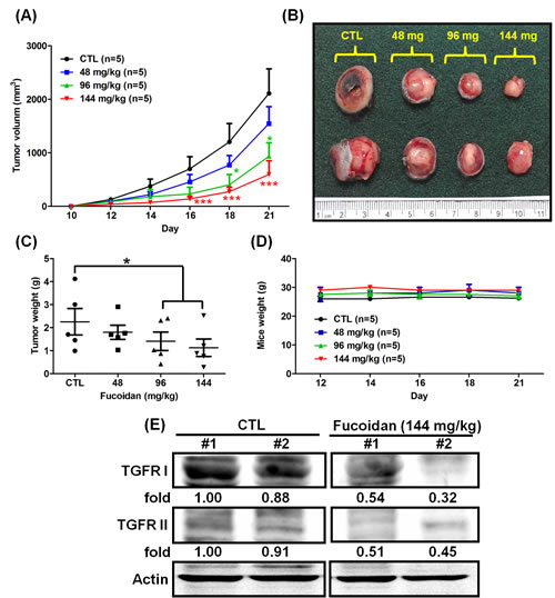 FIG1