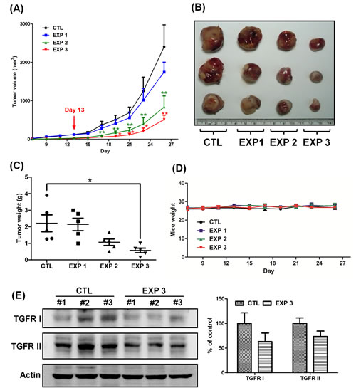 FIG2