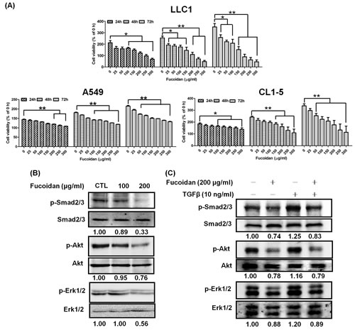 FIG3