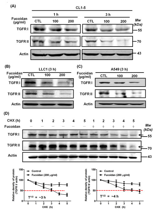 FIG4