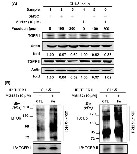 FIG5