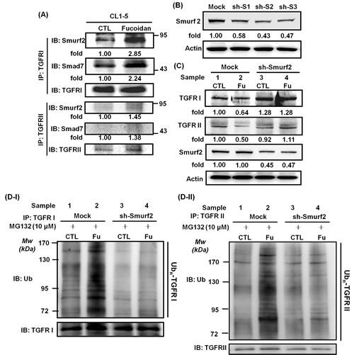 FIG6
