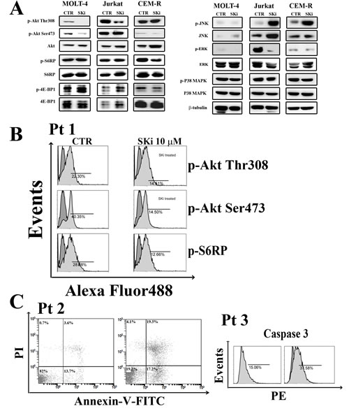 FIG5
