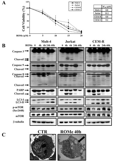 FIG7