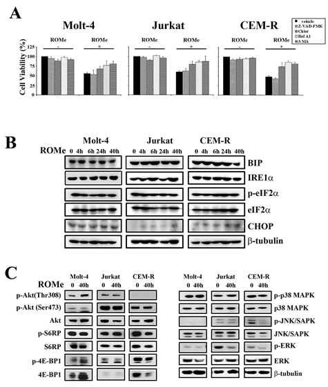 FIG8