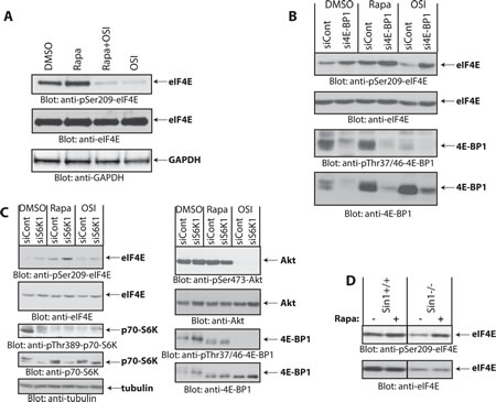 FIG2