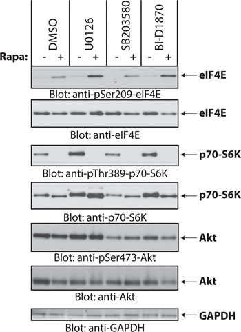 FIG3