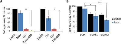 FIG6