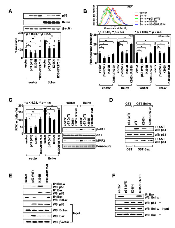 FIG1