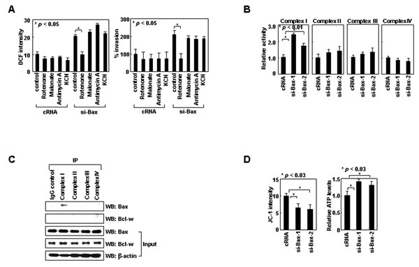 FIG2