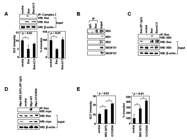 FIG3
