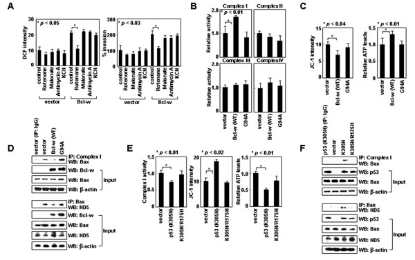 FIG4