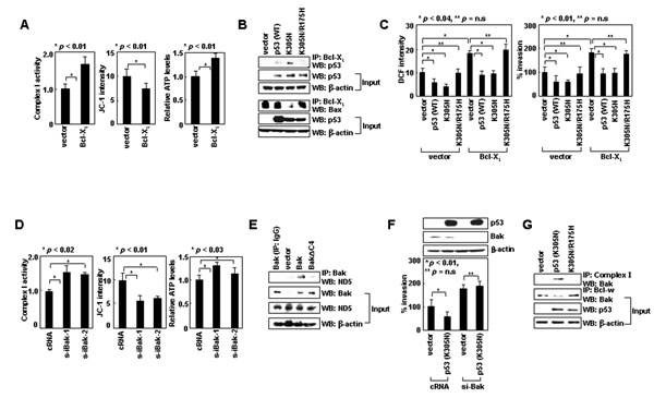 FIG6
