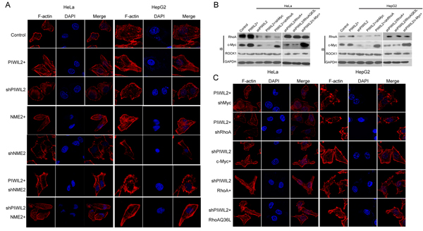 fig6