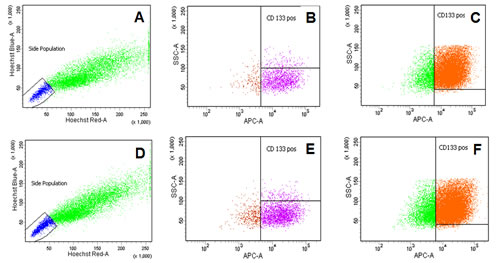 fig4