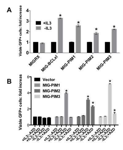 fig2